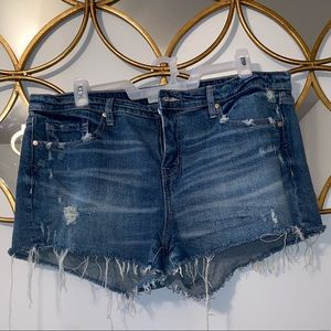 Torrid distressed shorts